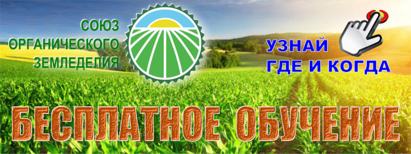 Organic21