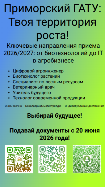 Баннер вертикальный